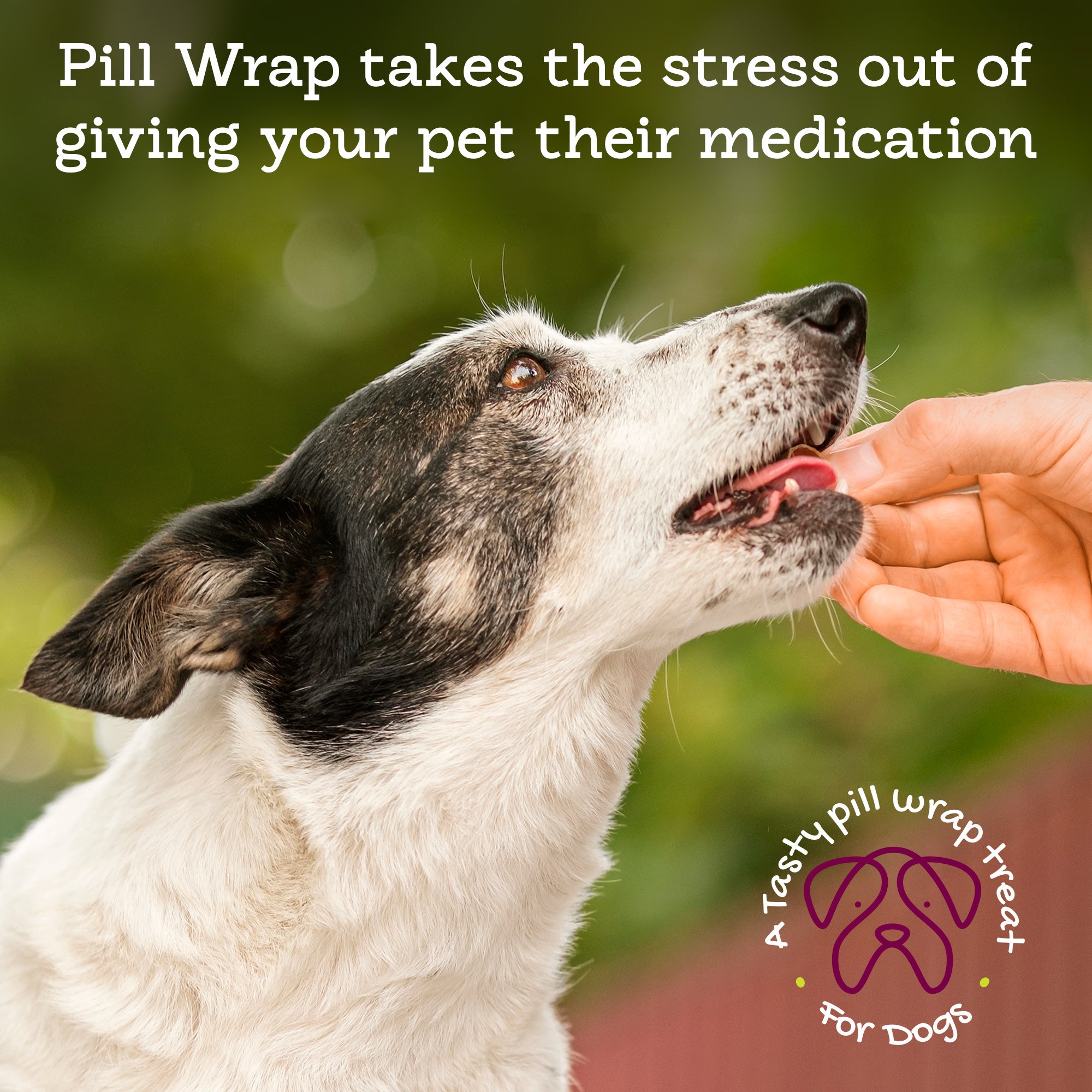 4-generic-pillwrap_b17f067d-0b1f-4c4b-9eef-9f7324ae74f0.jpg